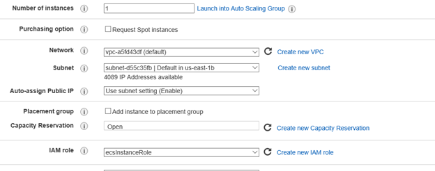 Select a Subnet and an IAM role