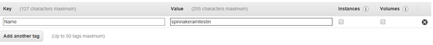 Click to Add a Name tag and name the Spinnaker instance for your reference