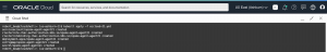 Oracle Cloud Shell showing details of the deployed OES agent